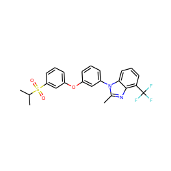 Cc1nc2c(C(F)(F)F)cccc2n1-c1cccc(Oc2cccc(S(=O)(=O)C(C)C)c2)c1 ZINC000045350388