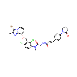 Cc1nc2c(OCc3c(Cl)ccc(N(C)C(=O)CNC(=O)/C=C/c4ccc(N5CCCC5=O)cc4)c3Cl)cccn2c1Br ZINC000027326937