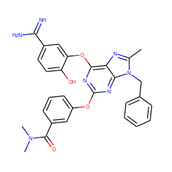 Cc1nc2c(Oc3cc(C(=N)N)ccc3O)nc(Oc3cccc(C(=O)N(C)C)c3)nc2n1Cc1ccccc1 ZINC000026376265