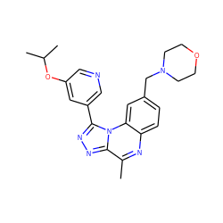 Cc1nc2ccc(CN3CCOCC3)cc2n2c(-c3cncc(OC(C)C)c3)nnc12 ZINC000299828421