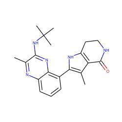 Cc1nc2cccc(-c3[nH]c4c(c3C)C(=O)NCC4)c2nc1NC(C)(C)C ZINC000206088255