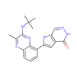 Cc1nc2cccc(-c3cc4c(=O)[nH]ncc4[nH]3)c2nc1NC(C)(C)C ZINC001772578851