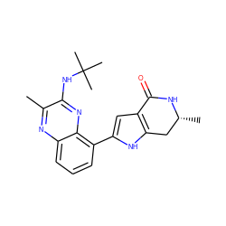 Cc1nc2cccc(-c3cc4c([nH]3)C[C@@H](C)NC4=O)c2nc1NC(C)(C)C ZINC000206123001