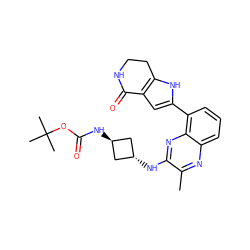 Cc1nc2cccc(-c3cc4c([nH]3)CCNC4=O)c2nc1N[C@H]1C[C@H](NC(=O)OC(C)(C)C)C1 ZINC001772625625