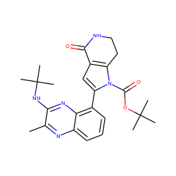 Cc1nc2cccc(-c3cc4c(n3C(=O)OC(C)(C)C)CCNC4=O)c2nc1NC(C)(C)C ZINC000206123039