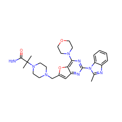 Cc1nc2ccccc2n1-c1nc(N2CCOCC2)c2oc(CN3CCN(C(C)(C)C(N)=O)CC3)cc2n1 ZINC000068247864