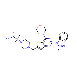 Cc1nc2ccccc2n1-c1nc(N2CCOCC2)c2sc(CN3CCN(C(C)(C)C(N)=O)CC3)cc2n1 ZINC000095555675