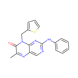 Cc1nc2cnc(Nc3ccccc3)nc2n(Cc2cccs2)c1=O ZINC000004238334