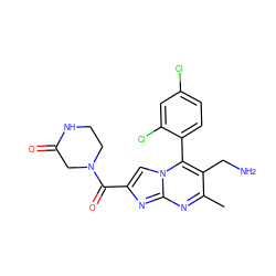 Cc1nc2nc(C(=O)N3CCNC(=O)C3)cn2c(-c2ccc(Cl)cc2Cl)c1CN ZINC000043130800