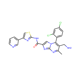 Cc1nc2nc(C(=O)Nc3nc(-c4cccnc4)cs3)cn2c(-c2ccc(Cl)cc2Cl)c1CN ZINC000058568393