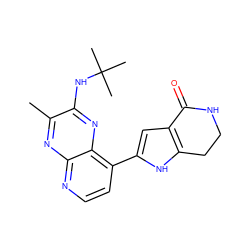 Cc1nc2nccc(-c3cc4c([nH]3)CCNC4=O)c2nc1NC(C)(C)C ZINC000206112822