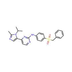 Cc1ncc(-c2ccnc(Nc3ccc(S(=O)(=O)Cc4ccccc4)cc3)n2)n1C(C)C ZINC000040393237