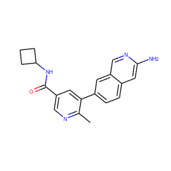 Cc1ncc(C(=O)NC2CCC2)cc1-c1ccc2cc(N)ncc2c1 ZINC000144309640