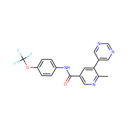 Cc1ncc(C(=O)Nc2ccc(OC(F)(F)F)cc2)cc1-c1cncnc1 ZINC000205958122