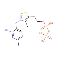 Cc1ncc(C[n+]2csc(CCO[P@@](=O)(O)OP(=O)(O)O)c2C)c(N)n1 ZINC000008215517