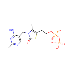 Cc1ncc(Cn2c(C)c(CCO[P@@](=O)(O)OP(=O)(O)O)sc2=O)c(N)n1 ZINC000013540298