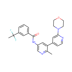 Cc1ncc(NC(=O)c2cccc(C(C)(F)F)c2)cc1-c1ccnc(N2CCOCC2)c1 ZINC000220700795