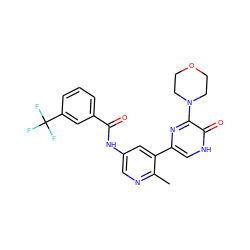 Cc1ncc(NC(=O)c2cccc(C(F)(F)F)c2)cc1-c1c[nH]c(=O)c(N2CCOCC2)n1 ZINC000220753102