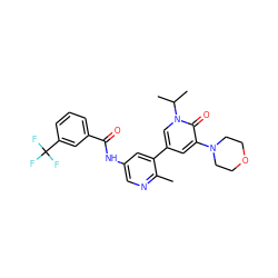 Cc1ncc(NC(=O)c2cccc(C(F)(F)F)c2)cc1-c1cc(N2CCOCC2)c(=O)n(C(C)C)c1 ZINC000225964868