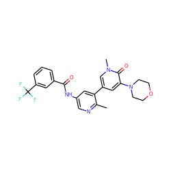 Cc1ncc(NC(=O)c2cccc(C(F)(F)F)c2)cc1-c1cc(N2CCOCC2)c(=O)n(C)c1 ZINC000220739135