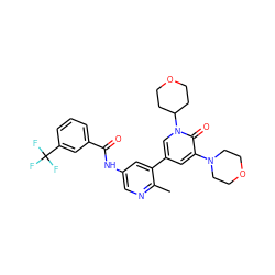 Cc1ncc(NC(=O)c2cccc(C(F)(F)F)c2)cc1-c1cc(N2CCOCC2)c(=O)n(C2CCOCC2)c1 ZINC000225958031