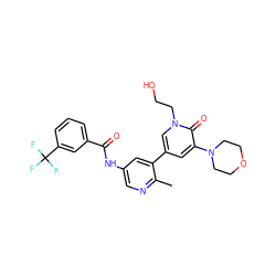 Cc1ncc(NC(=O)c2cccc(C(F)(F)F)c2)cc1-c1cc(N2CCOCC2)c(=O)n(CCO)c1 ZINC000225983976