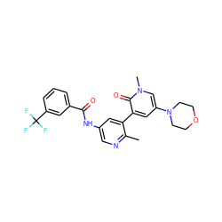 Cc1ncc(NC(=O)c2cccc(C(F)(F)F)c2)cc1-c1cc(N2CCOCC2)cn(C)c1=O ZINC000220753343