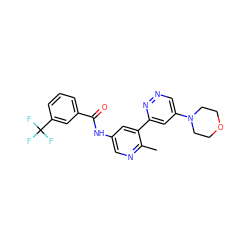 Cc1ncc(NC(=O)c2cccc(C(F)(F)F)c2)cc1-c1cc(N2CCOCC2)cnn1 ZINC000220582016