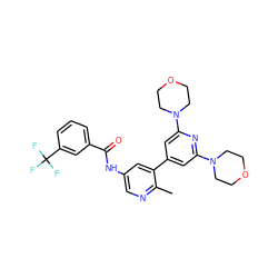 Cc1ncc(NC(=O)c2cccc(C(F)(F)F)c2)cc1-c1cc(N2CCOCC2)nc(N2CCOCC2)c1 ZINC000220642754