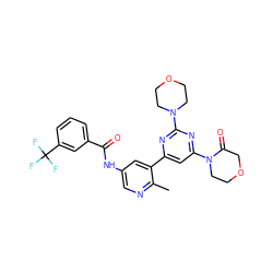 Cc1ncc(NC(=O)c2cccc(C(F)(F)F)c2)cc1-c1cc(N2CCOCC2=O)nc(N2CCOCC2)n1 ZINC000220738281