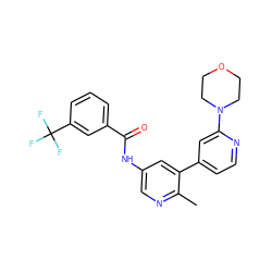 Cc1ncc(NC(=O)c2cccc(C(F)(F)F)c2)cc1-c1ccnc(N2CCOCC2)c1 ZINC000220700704