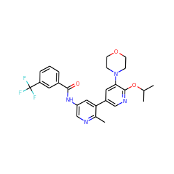 Cc1ncc(NC(=O)c2cccc(C(F)(F)F)c2)cc1-c1cnc(OC(C)C)c(N2CCOCC2)c1 ZINC000225955522