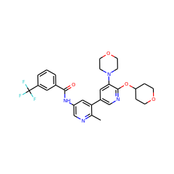 Cc1ncc(NC(=O)c2cccc(C(F)(F)F)c2)cc1-c1cnc(OC2CCOCC2)c(N2CCOCC2)c1 ZINC000225978444