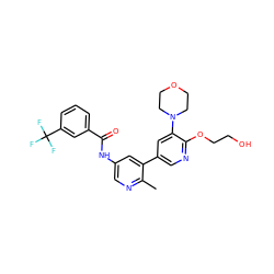 Cc1ncc(NC(=O)c2cccc(C(F)(F)F)c2)cc1-c1cnc(OCCO)c(N2CCOCC2)c1 ZINC000225997754