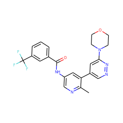 Cc1ncc(NC(=O)c2cccc(C(F)(F)F)c2)cc1-c1cnnc(N2CCOCC2)c1 ZINC000220581825