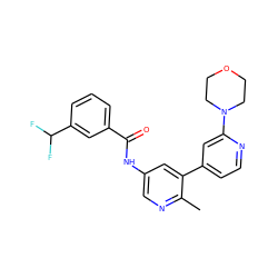 Cc1ncc(NC(=O)c2cccc(C(F)F)c2)cc1-c1ccnc(N2CCOCC2)c1 ZINC000220680298