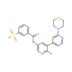 Cc1ncc(NC(=O)c2cccc(S(C)(=O)=O)c2)cc1-c1ccnc(N2CCOCC2)c1 ZINC000220718667