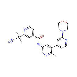 Cc1ncc(NC(=O)c2ccnc(C(C)(C)C#N)c2)cc1-c1ccnc(N2CCOCC2)c1 ZINC000220700349