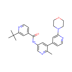 Cc1ncc(NC(=O)c2ccnc(C(C)(C)C)c2)cc1-c1ccnc(N2CCOCC2)c1 ZINC000220718576