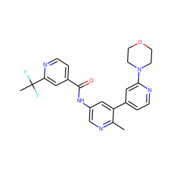 Cc1ncc(NC(=O)c2ccnc(C(C)(F)F)c2)cc1-c1ccnc(N2CCOCC2)c1 ZINC000220718462