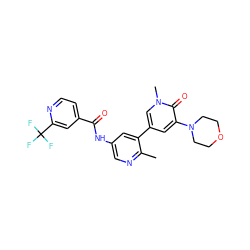 Cc1ncc(NC(=O)c2ccnc(C(F)(F)F)c2)cc1-c1cc(N2CCOCC2)c(=O)n(C)c1 ZINC000575410511