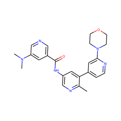 Cc1ncc(NC(=O)c2cncc(N(C)C)c2)cc1-c1ccnc(N2CCOCC2)c1 ZINC000220661569