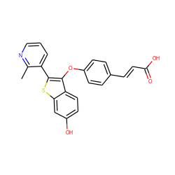 Cc1ncccc1-c1sc2cc(O)ccc2c1Oc1ccc(/C=C/C(=O)O)cc1 ZINC000223487202