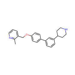 Cc1ncccc1COc1ccc(-c2cccc(C3CCNCC3)c2)cc1 ZINC001772627543