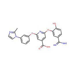 Cc1nccn1-c1cccc(Oc2cc(C(=O)O)cc(Oc3cc(C(=N)N)ccc3O)n2)c1 ZINC000013474068