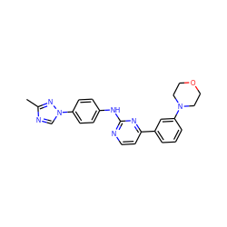 Cc1ncn(-c2ccc(Nc3nccc(-c4cccc(N5CCOCC5)c4)n3)cc2)n1 ZINC000045334818