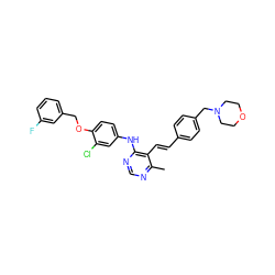 Cc1ncnc(Nc2ccc(OCc3cccc(F)c3)c(Cl)c2)c1/C=C/c1ccc(CN2CCOCC2)cc1 ZINC000066066462