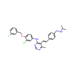 Cc1ncnc(Nc2ccc(OCc3cccc(F)c3)c(Cl)c2)c1/C=C/c1ccc(CNC(C)C)cc1 ZINC000073240403