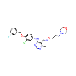 Cc1ncnc(Nc2ccc(OCc3cccc(F)c3)c(Cl)c2)c1/C=N/OCCCN1CCOCC1 ZINC000066074951