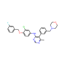 Cc1ncnc(Nc2ccc(OCc3cccc(F)c3)c(Cl)c2)c1-c1cccc(CN2CCOCC2)c1 ZINC000066079566